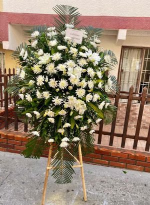 Condolencia 1