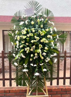 Condolencia 6