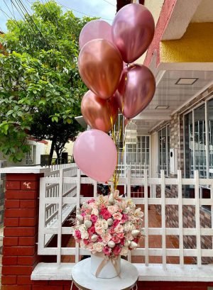 Cumpleaños 24