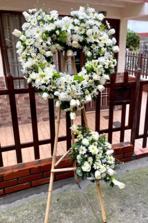 Condolencia 19