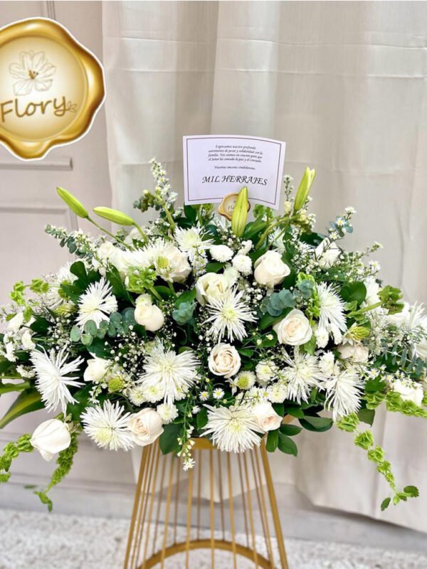 Condolencia 24