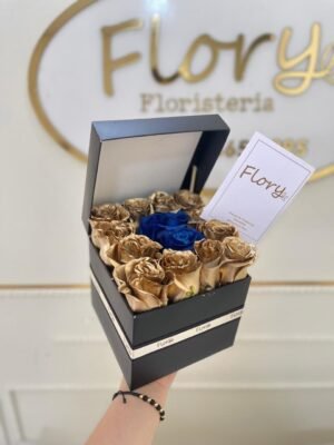 Para Hombres 6